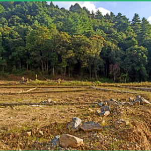 26 Aana land for sale at Kanaksundari Lele, Lalitpur
